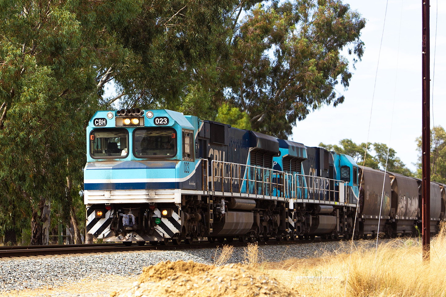 CBH-Train-02-copy.jpg