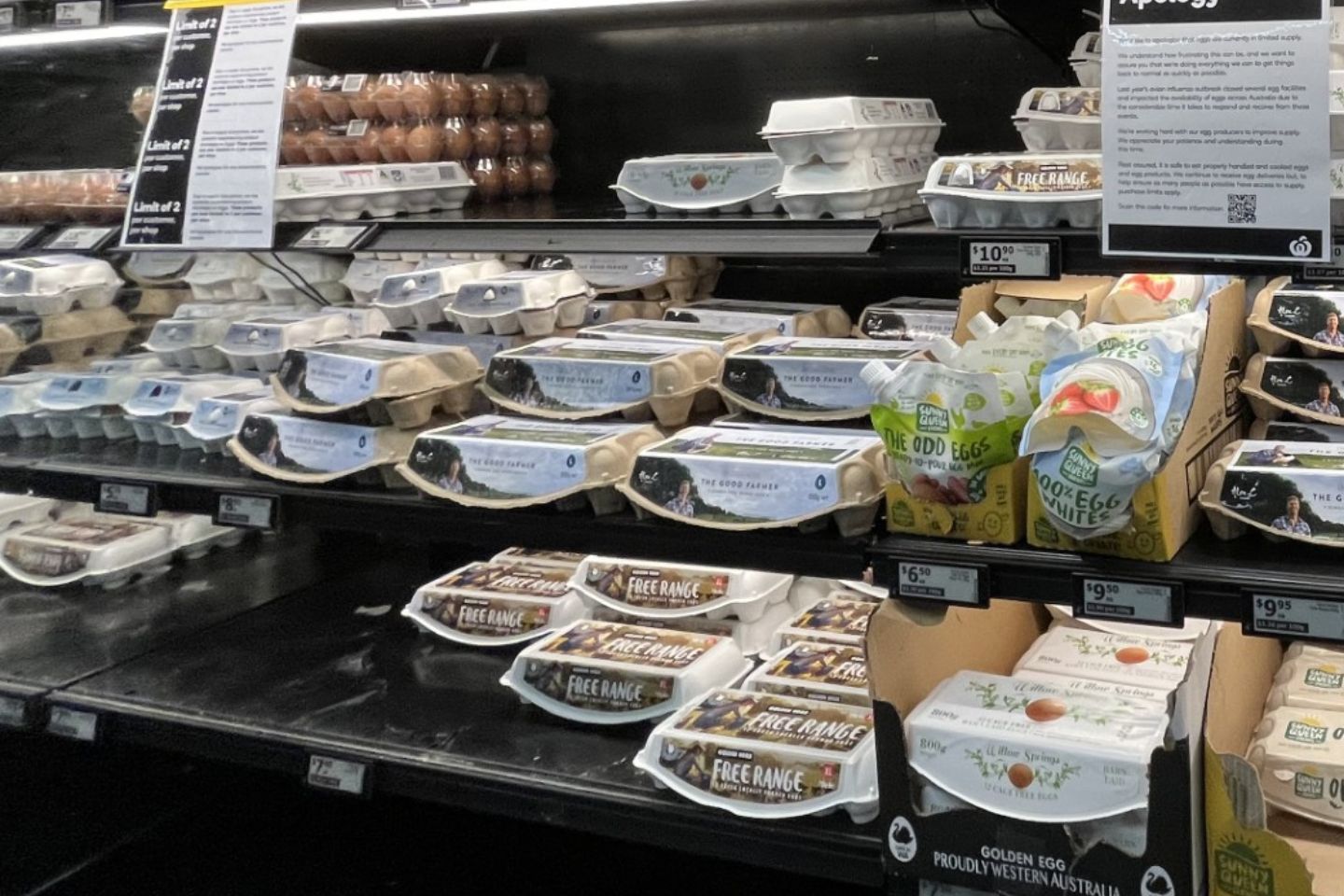 Egg-cartons-resized.jpg