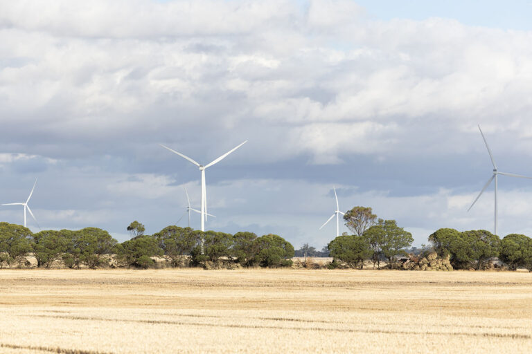 Flat-Rocks-Wind-Farm-04-copy.jpg