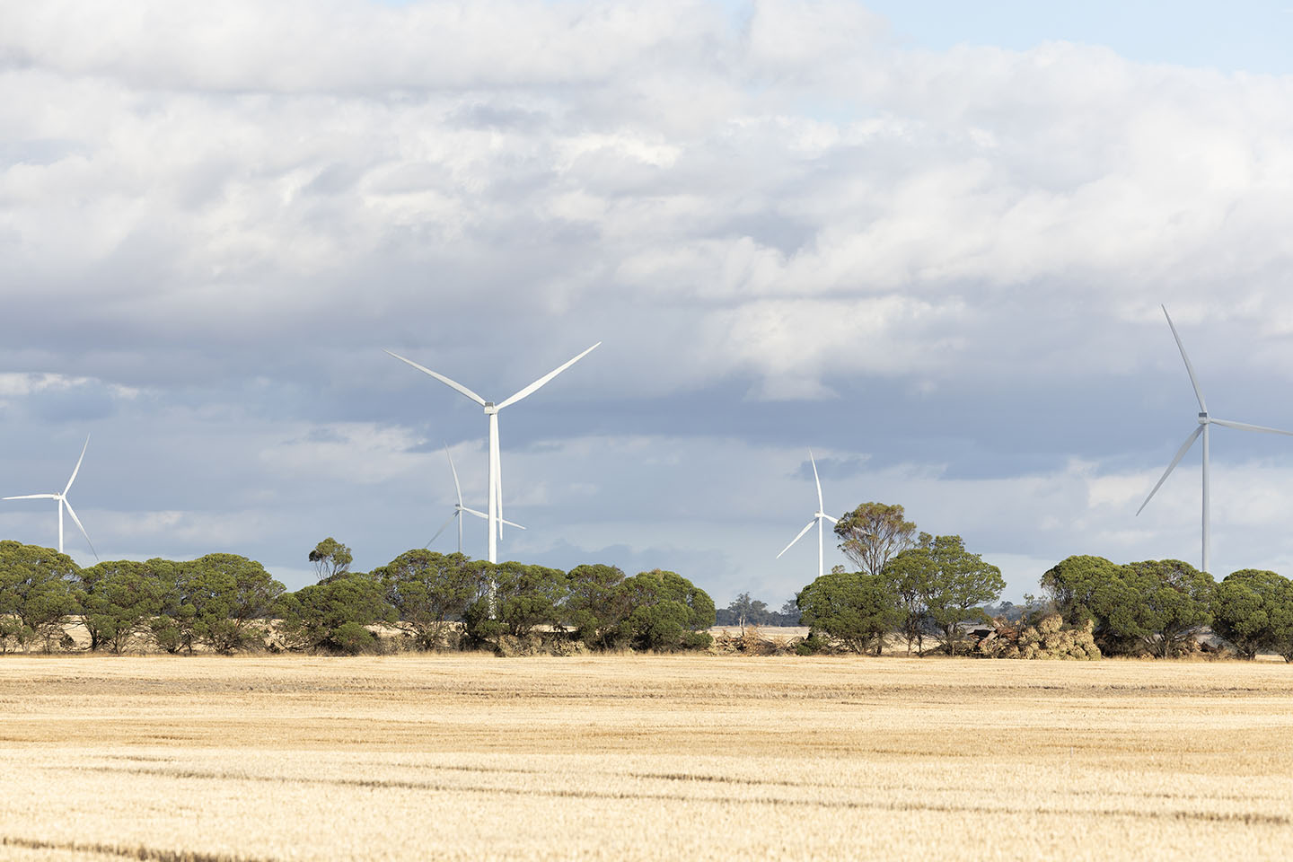 Flat-Rocks-Wind-Farm-04-copy.jpg